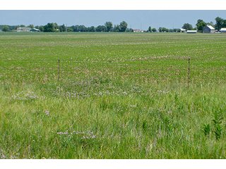 Property photo 32 - LAND AUCTION - 700+/- ACRES OFFERED IN 16 TRACTS IN ALLEN COUNTY, INDIANA